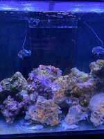IMG_7392.jpeg