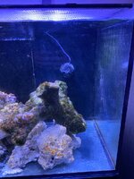 IMG_7393.jpeg