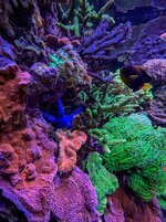 IMG_2853.jpeg