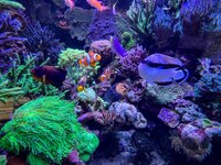 IMG_2851.jpeg