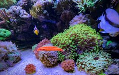 IMG_2849.jpeg