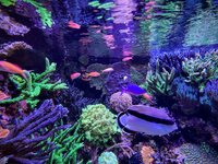 IMG_2846.jpeg