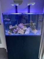 IMG_7399.jpeg