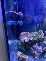 IMG_7401.jpeg