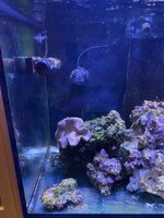 IMG_7405.jpeg