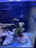 IMG_7406.jpeg