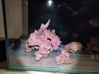 IMG_20260215_145801.jpg