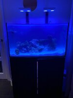 IMG_7407.jpeg
