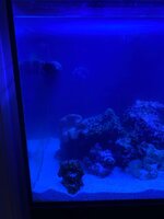 IMG_7408.jpeg