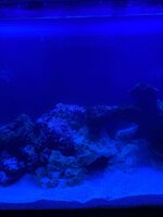 IMG_7409.jpeg