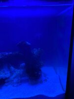 IMG_7410.jpeg