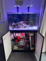 IMG_7416.jpeg