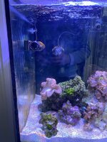 IMG_7417.jpeg