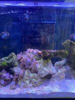 IMG_7418.jpeg