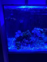 IMG_7438.jpeg