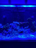 IMG_7439.jpeg