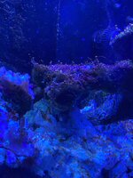 IMG_7444.jpeg