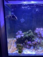 IMG_7467.jpeg