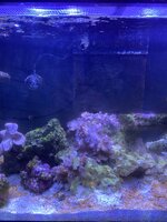 IMG_7468.jpeg
