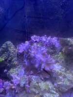 IMG_7470.jpeg