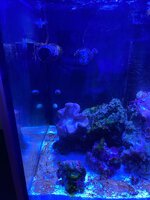 IMG_7478.jpeg