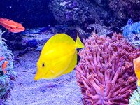 IMG_2900.jpeg