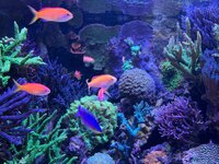IMG_2894.jpeg