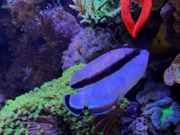 IMG_2897.jpeg