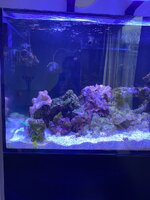 IMG_7494.jpeg