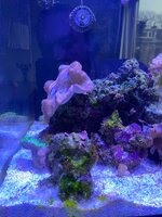 IMG_7496.jpeg