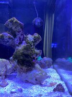 IMG_7498.jpeg