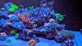 PXL_20260303_212134782~3.jpg