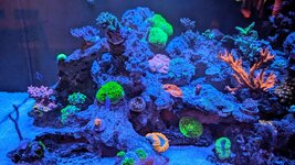 PXL_20260303_212152188~2.jpg