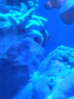 IMG_20260308_081246.jpg