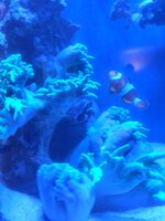 IMG_20260308_081301.jpg