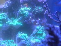IMG_20260308_081326.jpg