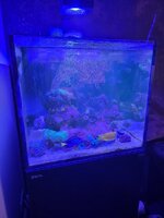 20260308_093449.jpg