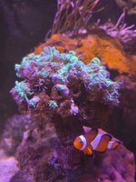 20260309_163034.jpg