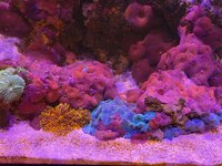 20260309_163046.jpg