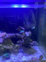 IMG_7565.jpeg