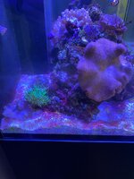 IMG_7569.jpeg