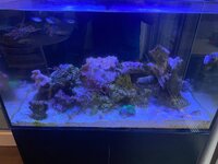 IMG_7575.jpeg