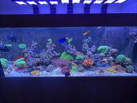 IMG_1344.jpeg