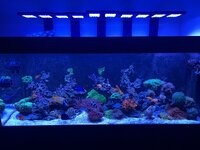IMG_1343.jpeg