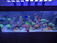 IMG_1344.jpeg