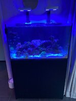 IMG_7596.jpeg