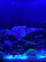 IMG_7598.jpeg