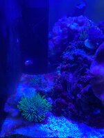 IMG_7601.jpeg