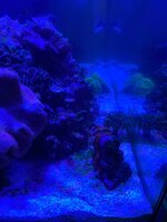 IMG_7602.jpeg