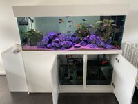 IMG_5378.jpeg